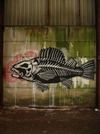 A fish wears its skeleton on the outside in this black and white street art painting by graffiti artist ROA
