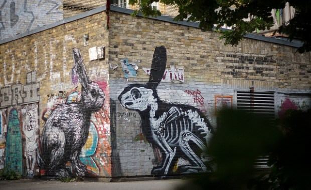 A rabbit meets its Xray reflection in this large graffiti mural by street artist ROA