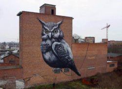 An enormous owl stares straight into the camera in this wildlife street art work by Belgian graffiti artist ROA