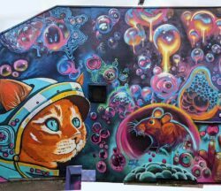 Urban artist Jim Vision puts a cat in a space suit and sends it to space in this colourful street art mural