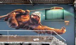 Street artist Wes21 personifies a sloth in this wall mural by giving it a night cap and having it hang from a street light