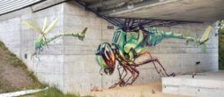 Wes21 turns dragonflies into machines in this science fiction street art mural