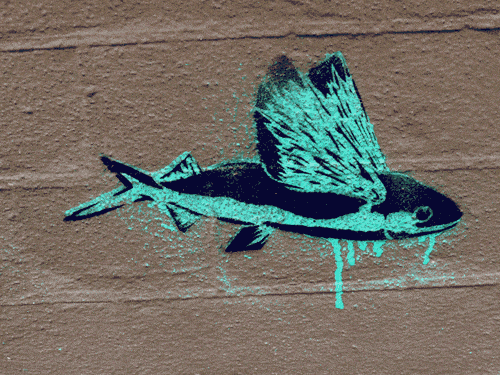A GIF animator makes this graffiti stencil of a flying fish fly