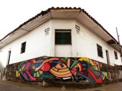 A run down street corner becomes a canvas for one of Anck Millan's uplifting graffiti murals