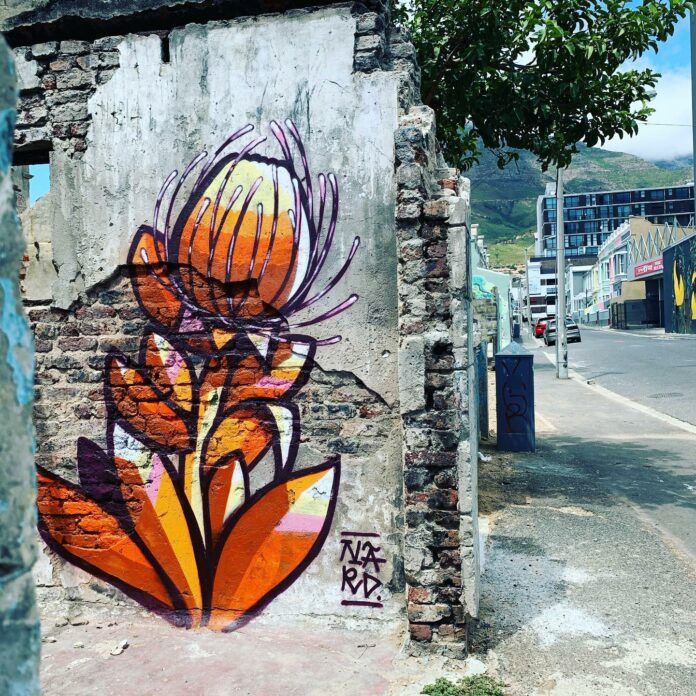 This fynbos flower also known as a protea flower was painted on this old street wall by urban graffiti artist Nardstar